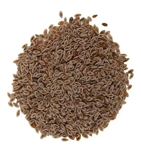 D_809479-MLA72777534394_112023-F Psyllium Semilla Zaragatona X 1 Kg Sin Gluten - Image 1